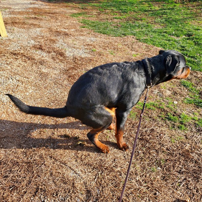 Inked’s pics and videos