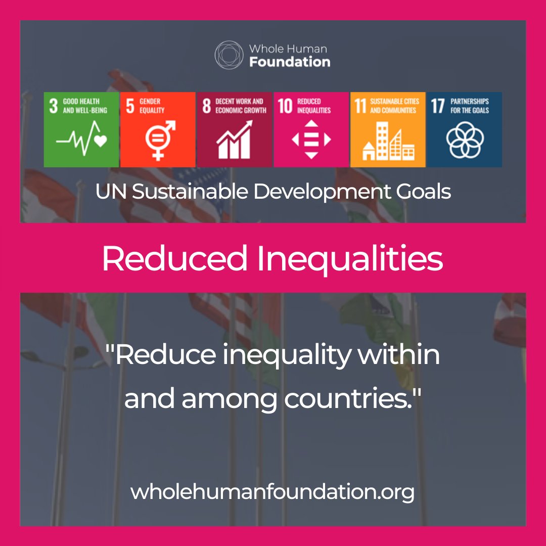 Whole Human Foundation is aligned with the UN's Sustainable Development Goals - one of these goals includes reduced inequalities.

We want to "reduce inequality within and among countries."