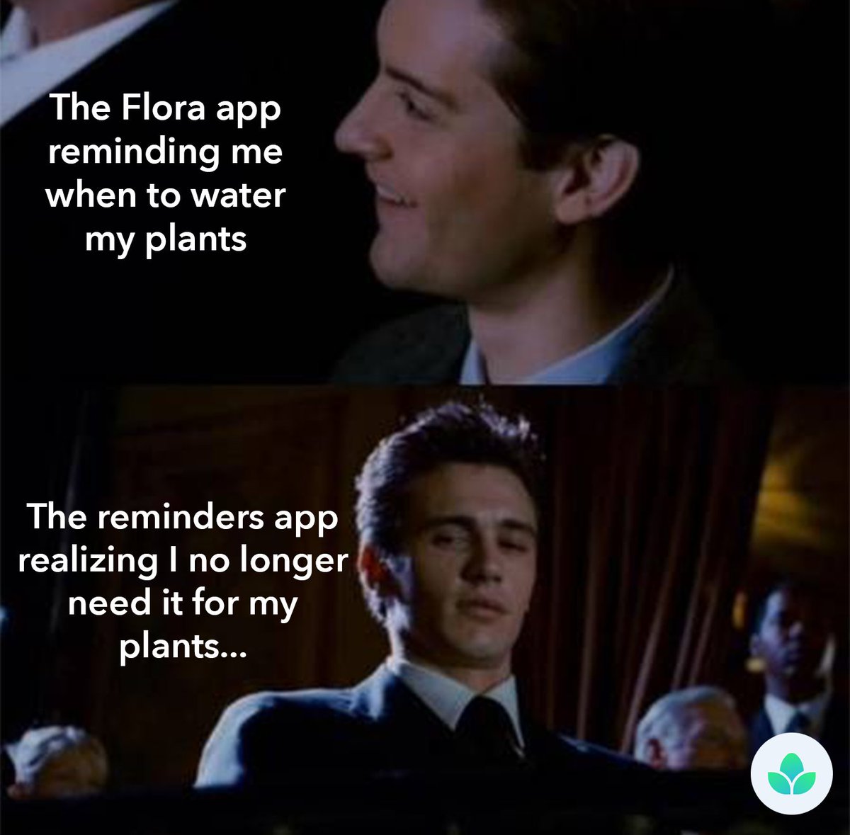 florasensor's tweet photo. Good ol' Tobey Maguire has memes for every emotion we have. Goodbye reminders app, you're no longer needed 😏 https://t.co/rcv5g65Gd9