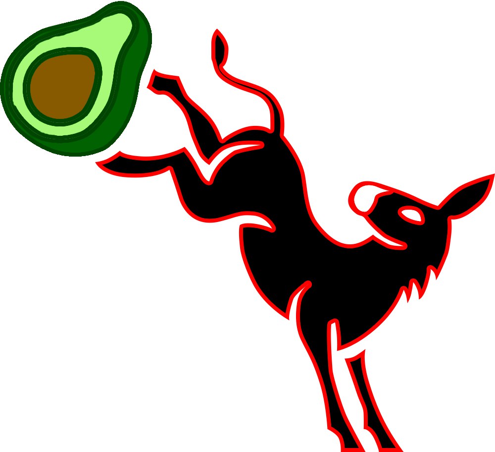 Invictus Donkeys tweet media