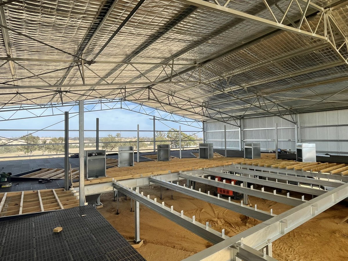 CoChippy's tweet photo. Recent progress on Awi shed coming along nicely #australianwoolinovation #countryman #sheering #sheds #rural https://t.co/Z6tVA98Spq