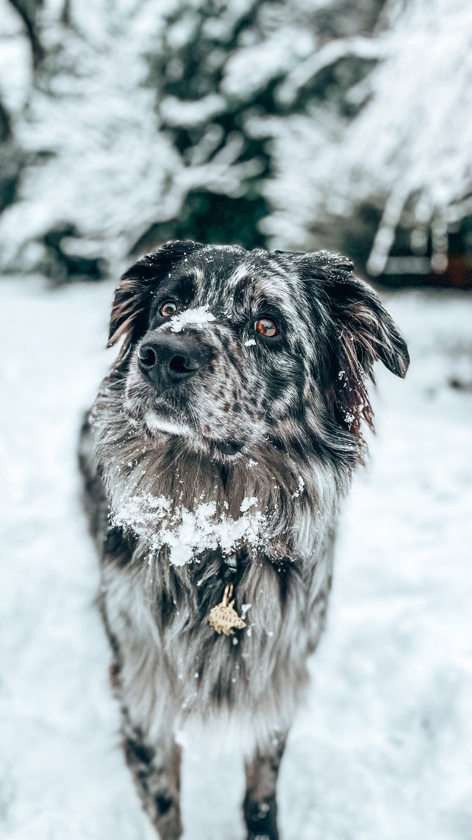 Savannah & Finley tweet media