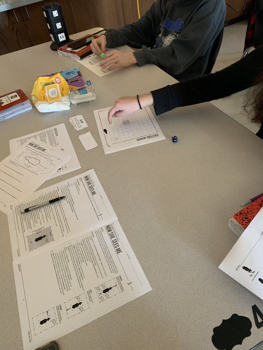 Mrs.V's Classroom tweet media