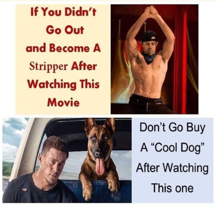 Marvels.Mutts tweet media