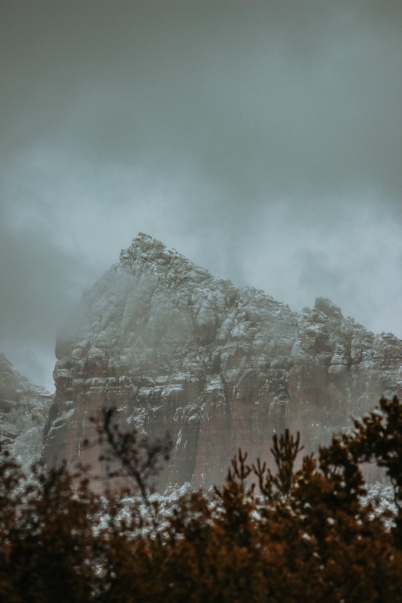 IG crop can’t ruin this photo now 😌 #dogsoftwitter #twitterdogcommunity #dogsofinstagram