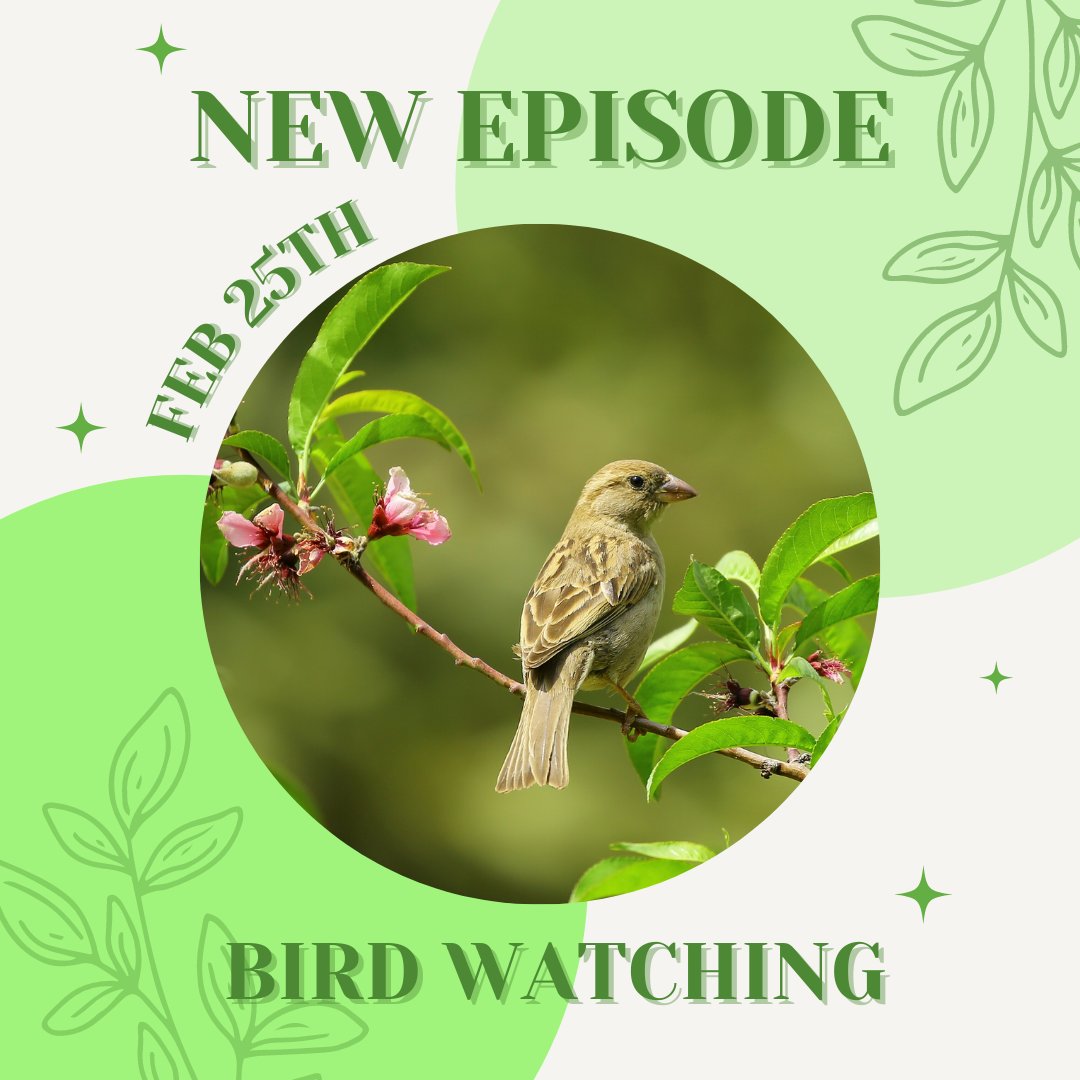 Looking for a new hobby? Why not birdwatching! This week, we share tips for finding birds in BC, talk about some of our favourite fluffy friends, and the Great Emu War in Australia. 

Join us to talk about nature's pokemon.

#birdwatching #amateur #podcast #vancouver