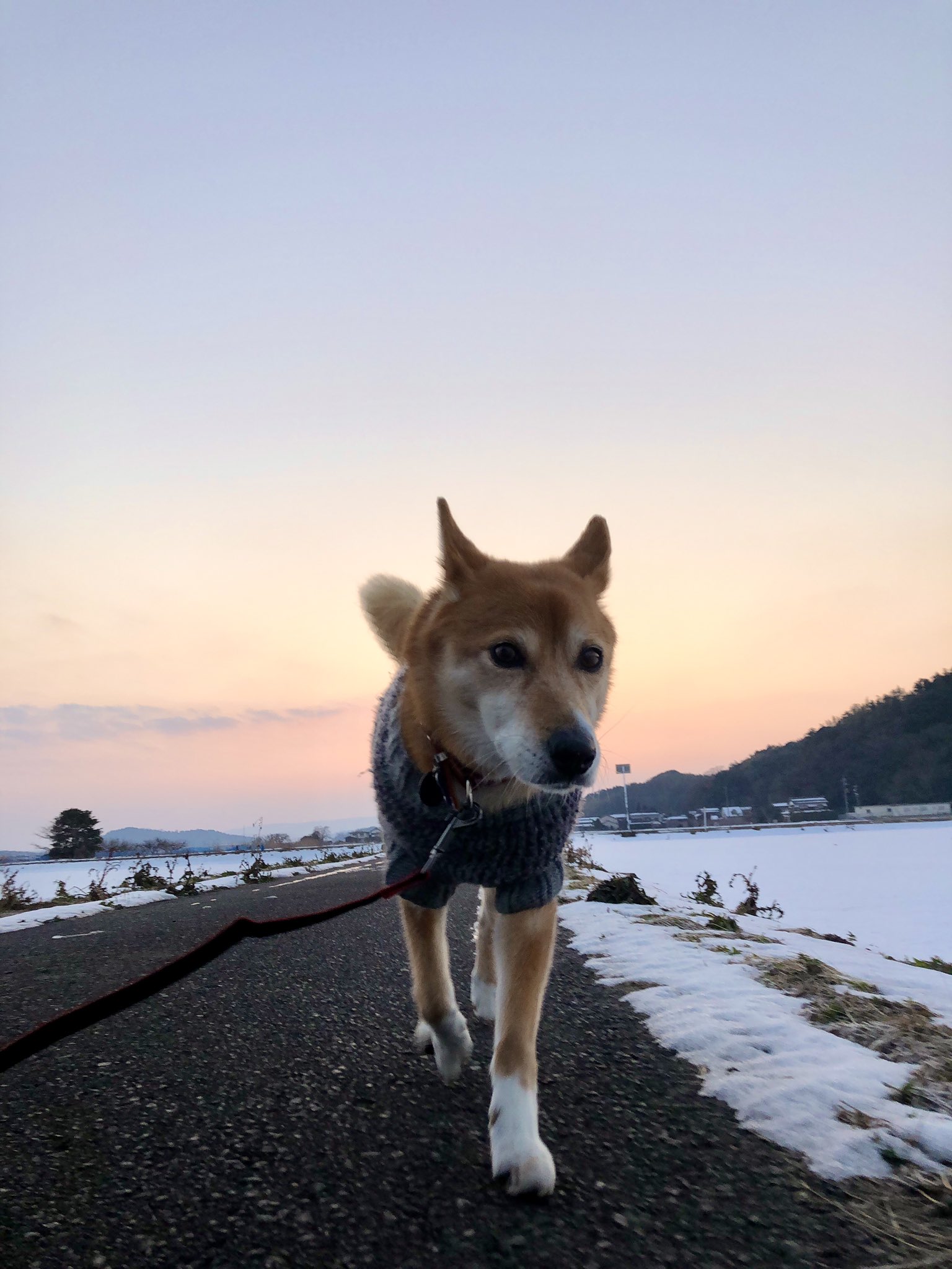 誕生日おめでとう月間 Twitter Search Twitter