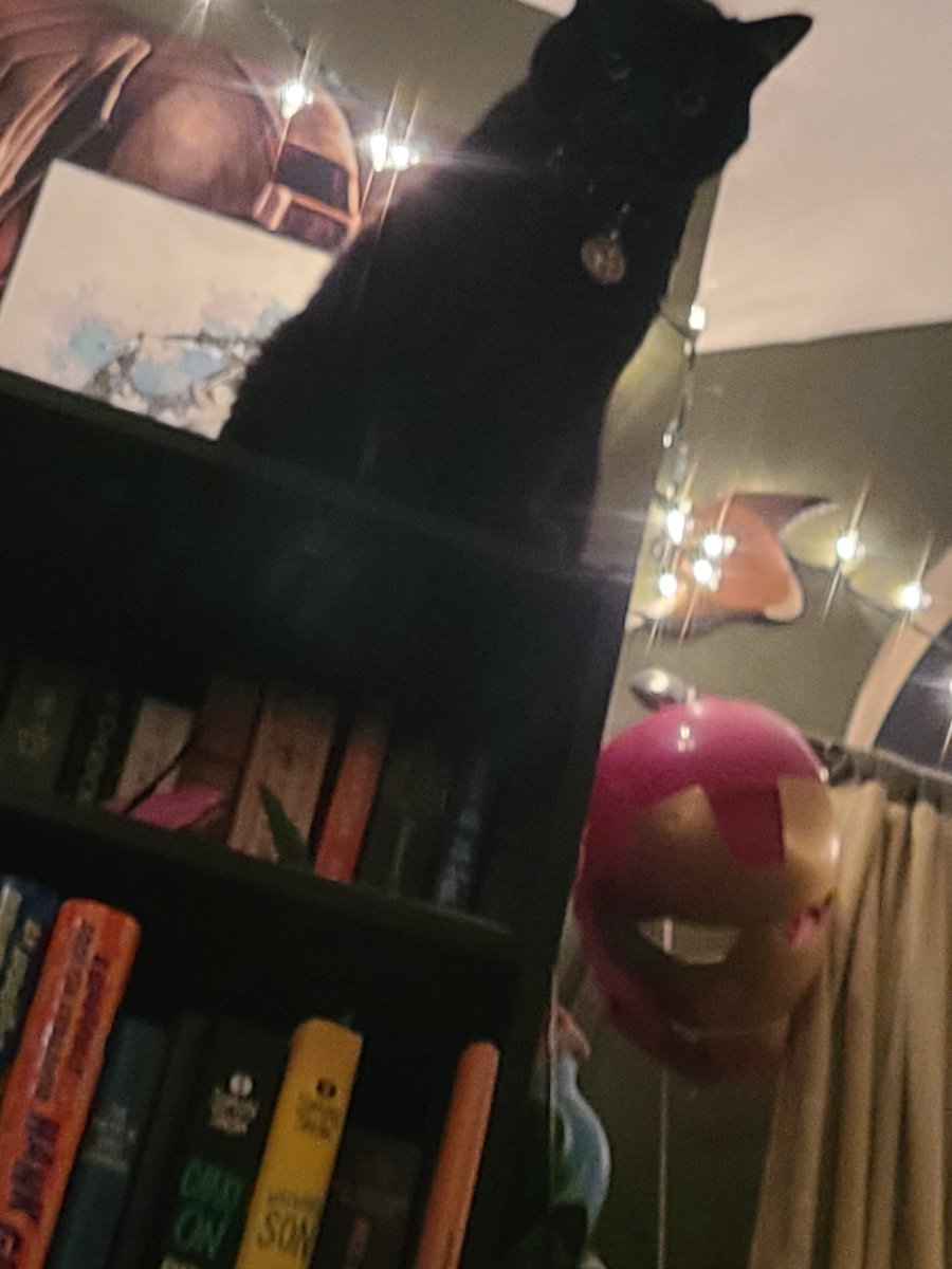 murder_squirrel's tweet photo. #kittytime #p4a2022 i am vengeance, i am the night https://t.co/Km5BIrU2Bh