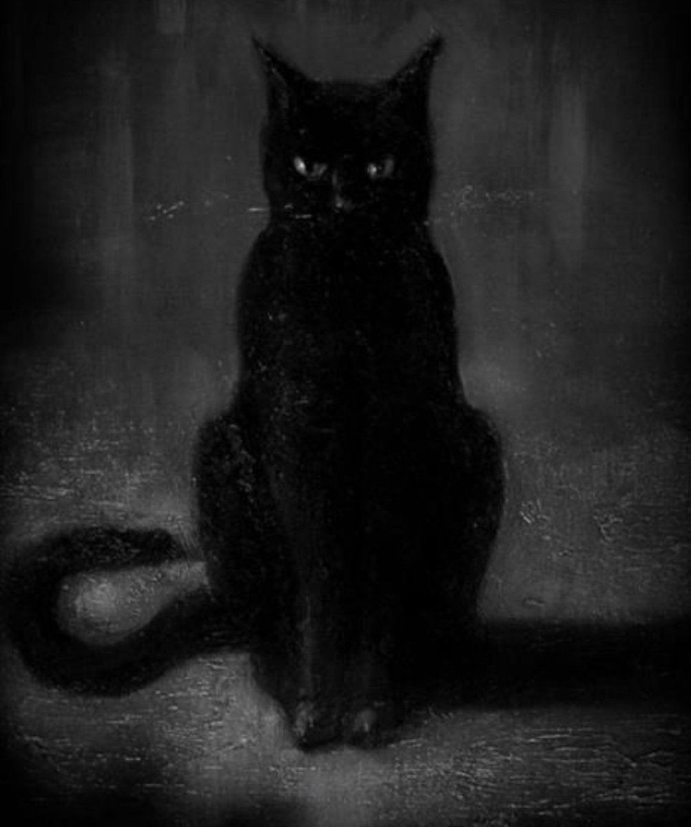 𝕄𝕚𝕟𝕚𝕤𝕥𝕣𝕪 𝕠𝕗 𝕥𝕙𝕖 ℂ𝕠𝕦𝕟𝕥𝕣𝕪𝕤𝕚𝕕𝕖 tweet media