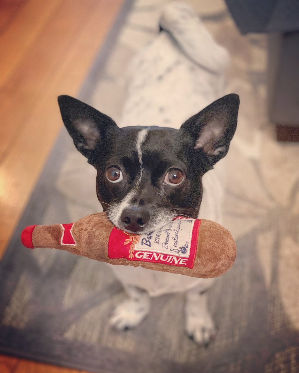 Bobby Kun tweet media