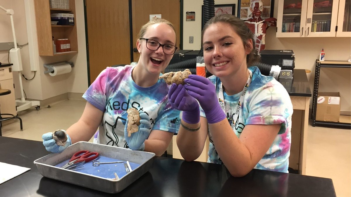 MontanaGEARUP's tweet photo. Every summer, Montana GEAR UP students have the opportunity attend sponsored programs for FREE! MedStart encourages sophomores and juniors to pursue interests in a variety of healthcare careers through hands on activities. #medstart #GEARUPWorks https://t.co/aN1Xufb7SY