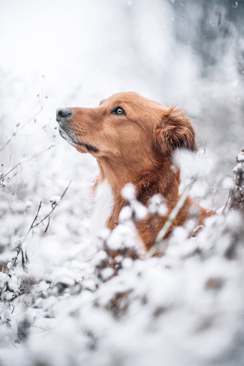 youandiwander tweet media