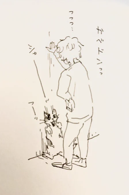 フシャーッ🙀 