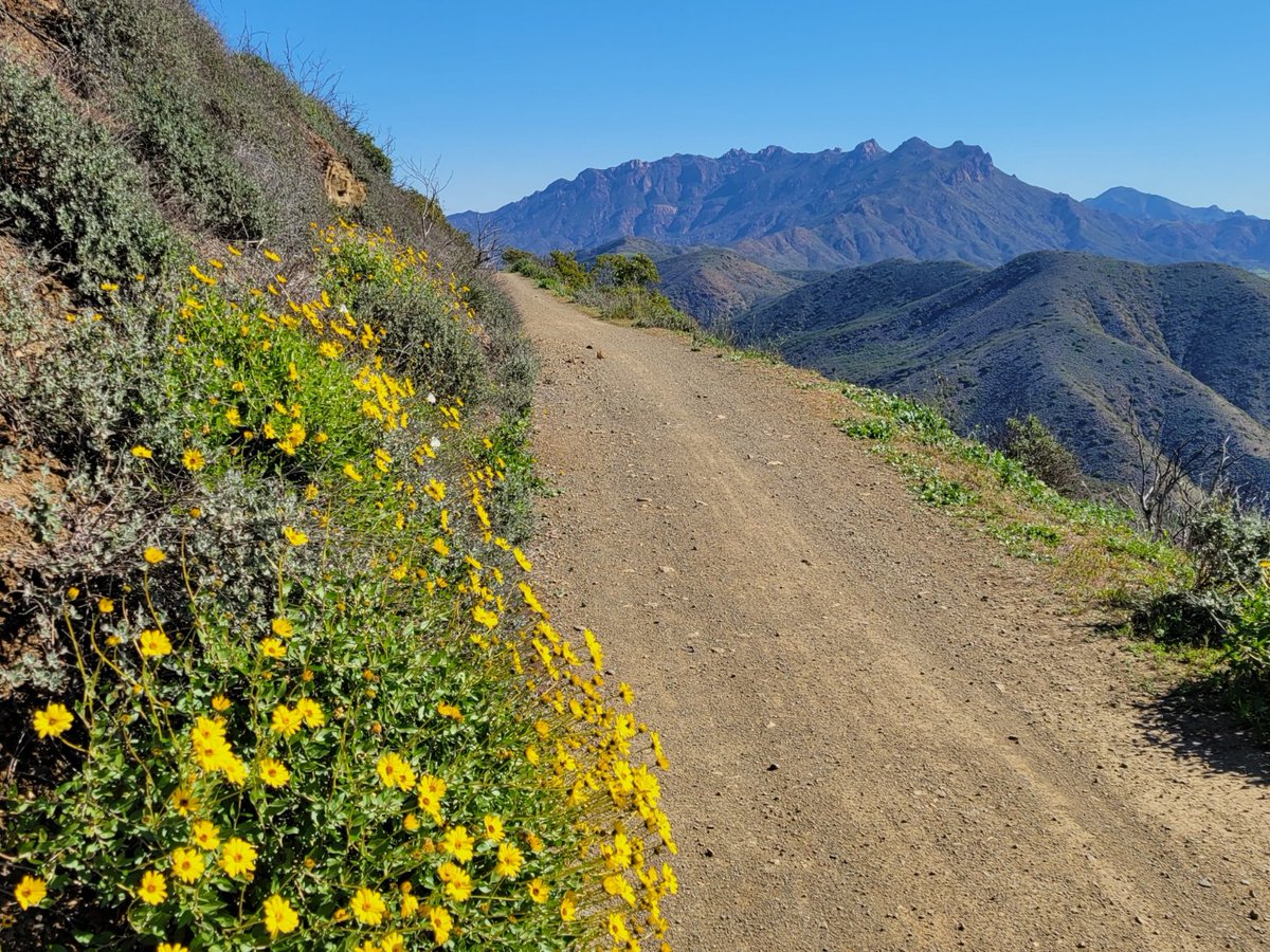 GreggWagener's tweet photo. I hiked in Point Mugu State Park today. I hiked 11.4 miles in 4 hours with 2500 ft elevation gain. It was a particularly clear day. #mycastateparks #MyCAStatePark https://t.co/wrR96jPp6O