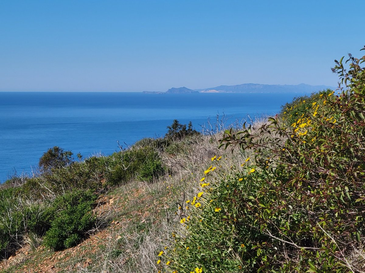 GreggWagener's tweet photo. I hiked in Point Mugu State Park today. I hiked 11.4 miles in 4 hours with 2500 ft elevation gain. It was a particularly clear day. #mycastateparks #MyCAStatePark https://t.co/wrR96jPp6O