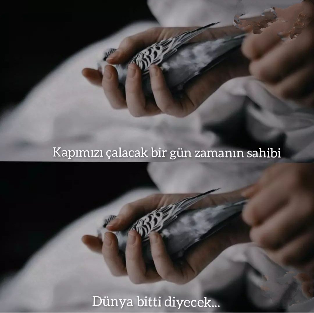RumeysaByktopcu's tweet photo. https://t.co/tiPENCE9AK