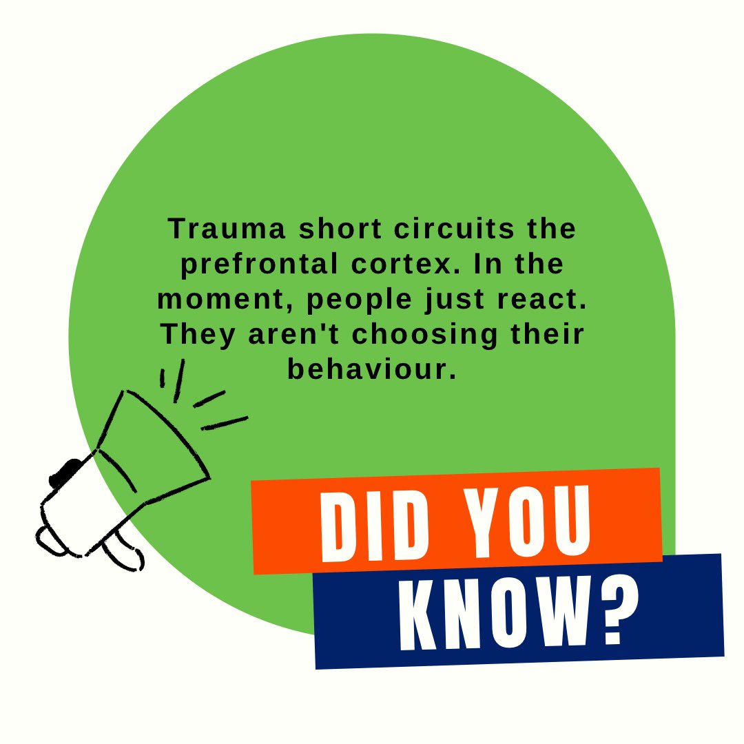 SD35 Learning Support tweet media