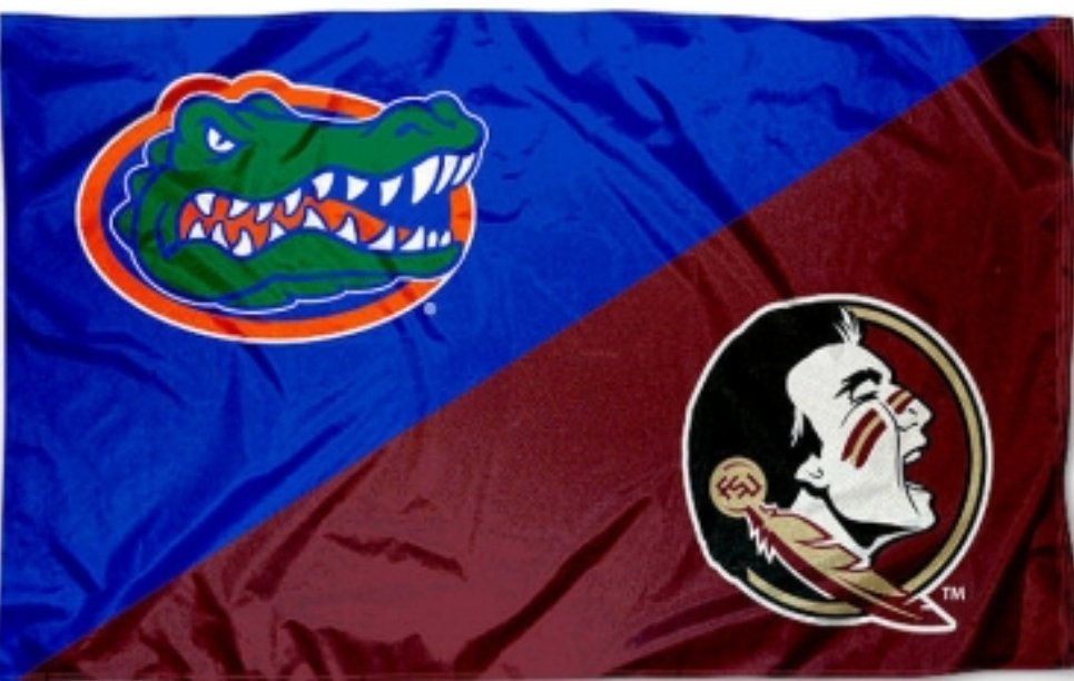 MamaPersten72's tweet photo. Officially a divided home! @LoganLJ6 @jamie__sofia 
#Noles #gators #fsu #UF #dividedhouse https://t.co/PR0WidHf1K