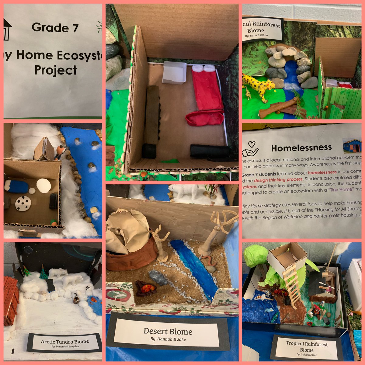 ElsaLemos1's tweet image. Great job gr7s on your Tiny Home ecosystems. Your creative planning led to a variety of plausible conceptions. Homelessness is a global concern. #solutionsthatmatter #CriticalThinking @LeusinkTeaches