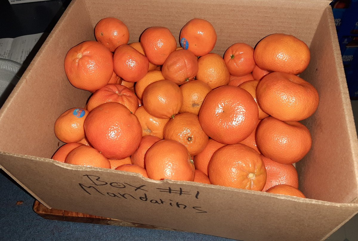 SteveDickerNL's tweet photo. #FlashFoods score!!!!! 10.5 lbs of Clementines &amp; Mandarins for $1.25 at Pearlgate Dominion. @Flashfoodinc https://t.co/055qFLgKDd