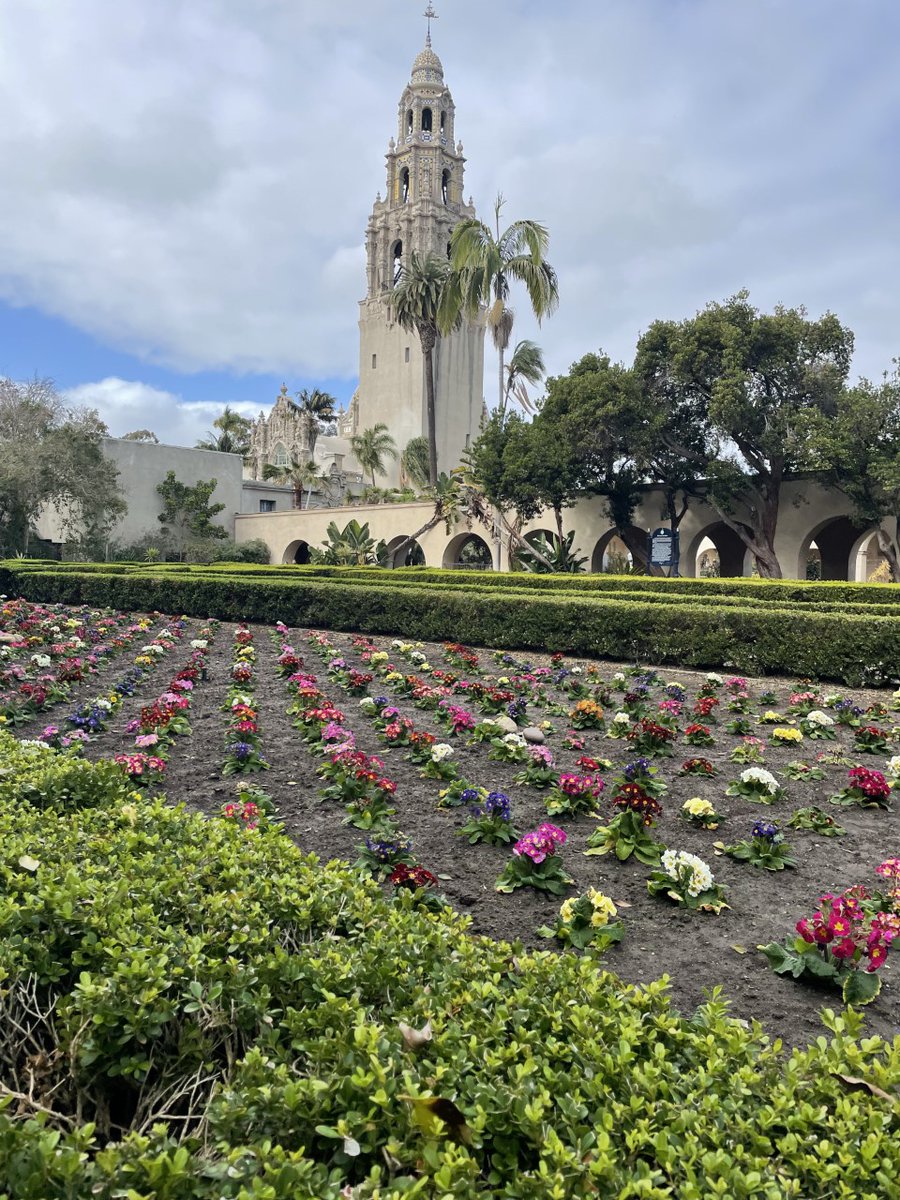 CityofSanDiego's tweet photo. Our Parks and Rec staff and volunteers kicked off 2022 with extensive replanting of flowers and plants around @BalboaPark! Head over to the park in the coming weeks to see the many spring flowers in bloom. π»πΊπΌ #SanDiegoSpring https://t.co/hvoIdYoZ3H