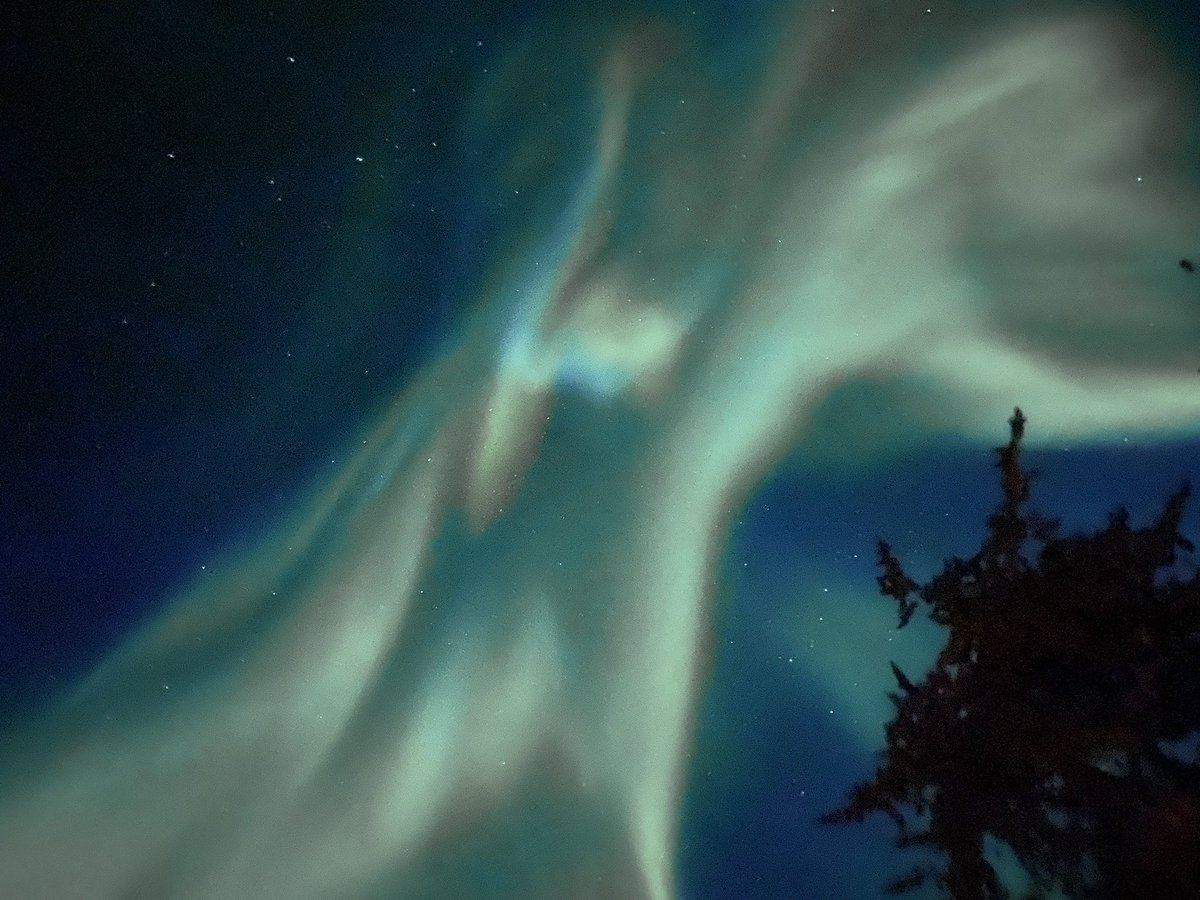 LDouleva's tweet photo. I often ask myself why I live where my eyelashes frost just walking down the street…this is why. #SpectacularNWT #EXSM5510 https://t.co/vlBfyQcG08