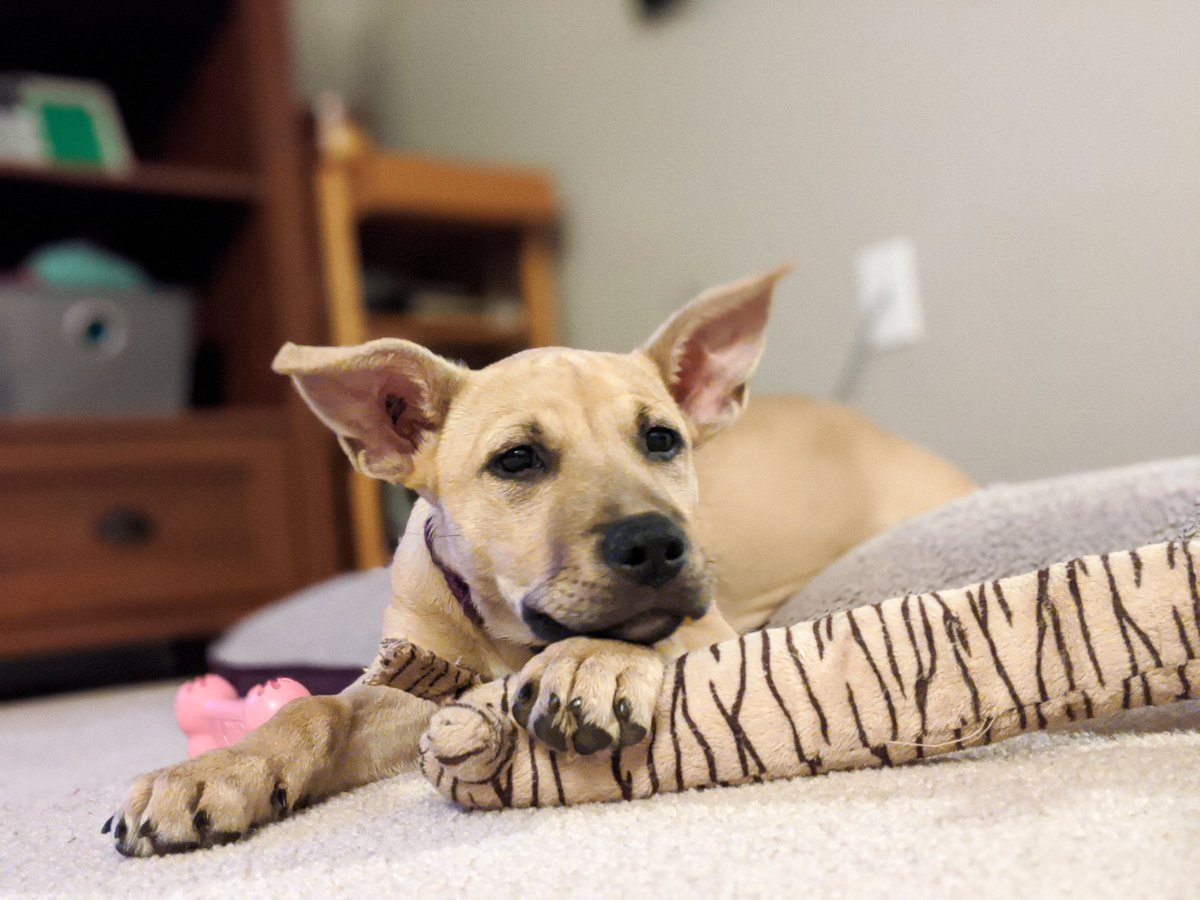 Samantha Jung tweet media