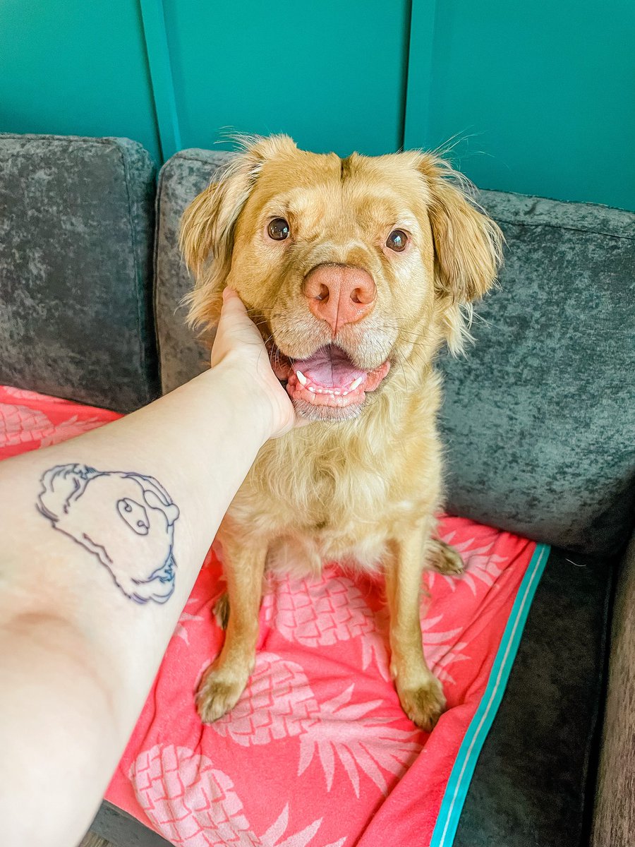 Thefearfulandthebrave tweet media