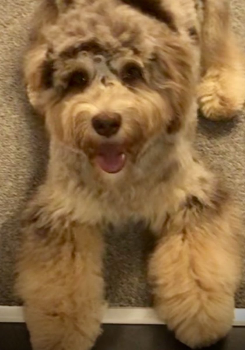 davethe_doodle's tweet photo. @jennystape The world needs more smiles, it’s infectiously infectious, we could save the world with our smile therapy 😀 #therapy #PositiveVibes #itsgoodtosmile https://t.co/1QzDDHWcDB