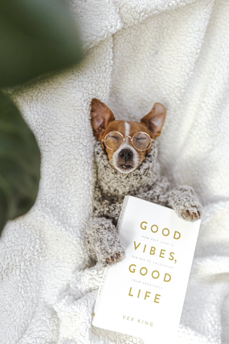 How I feel being apart of the #twitterdogcommunity