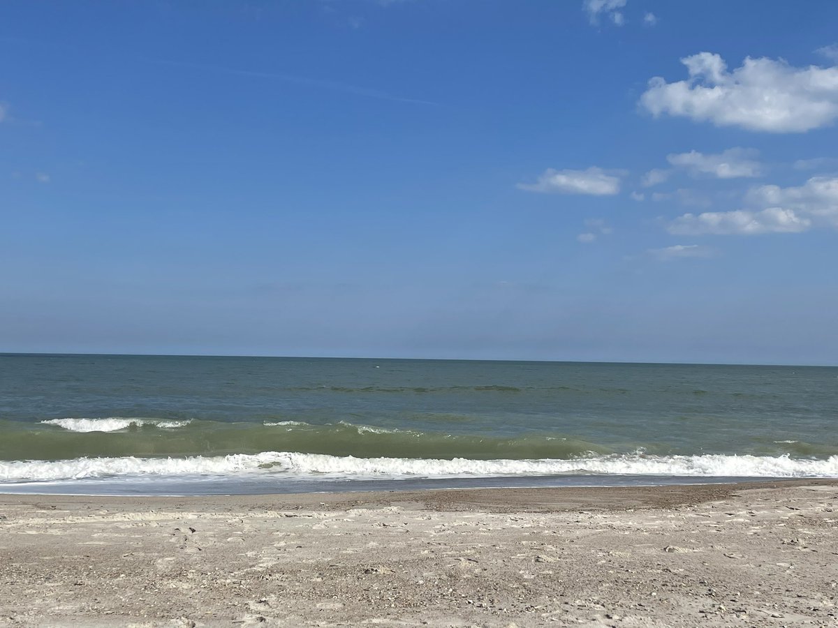 Chris Hanson tweet media