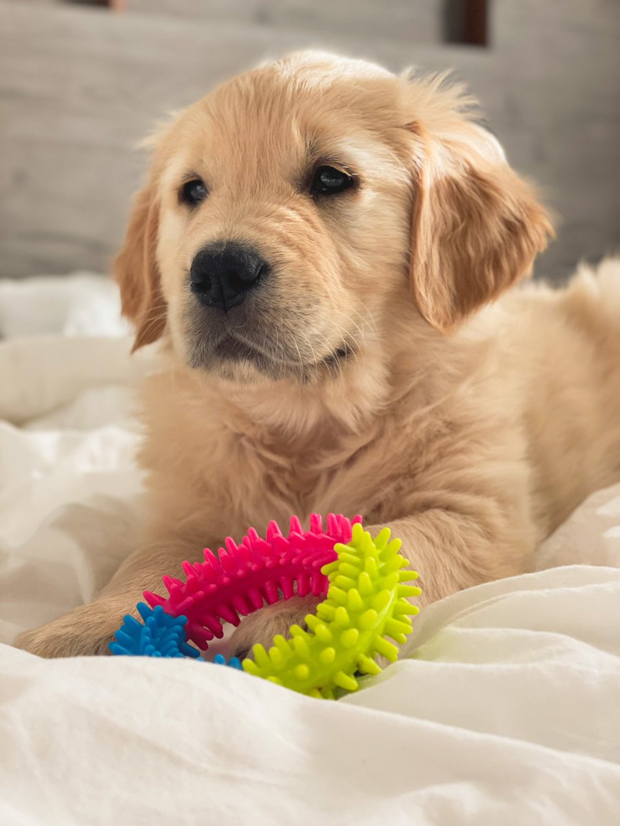 Miller Boi tweet media