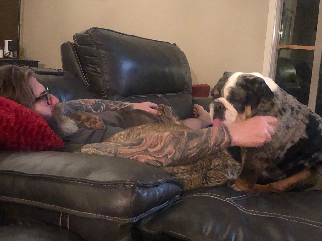 BulldogBurrito's tweet photo. In my favorite spot next to my daddy 🐾 #bulldogsoftwitter #dogsoftwitter https://t.co/2500vyFDmj