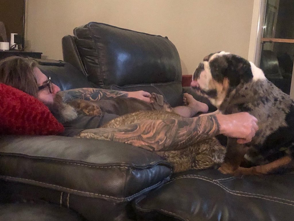 BulldogBurrito's tweet photo. In my favorite spot next to my daddy 🐾 #bulldogsoftwitter #dogsoftwitter https://t.co/2500vyFDmj