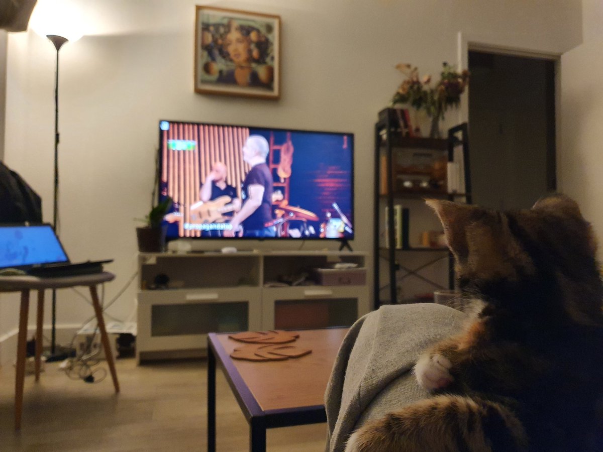 valedixi's tweet photo. Nilde presissima dalla puntata di oggi pensa alla sua squadra al #fantacitorio #welikeduel https://t.co/s9F0fapOWB