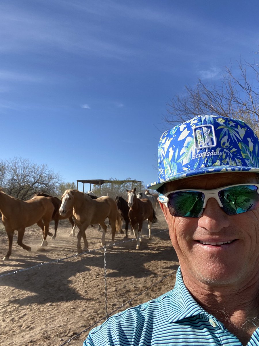 ewy_mike's tweet photo. The evening run back to the pasture past #16 at Los Caballeros in Wickenburg, AZ https://t.co/0909XWAHNd