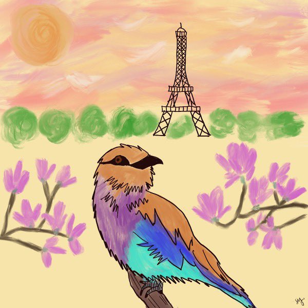 Phoenix_phia tweet media