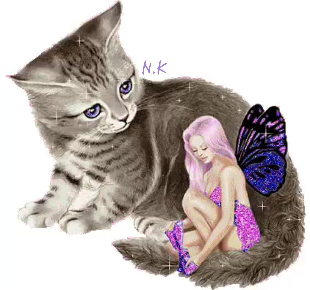 Блестящую кошку