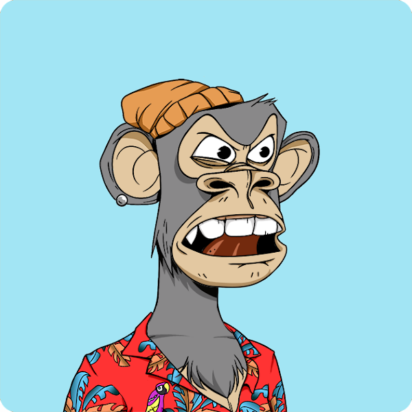 Peter Voogd | The MAVERICK 👑 tweet media