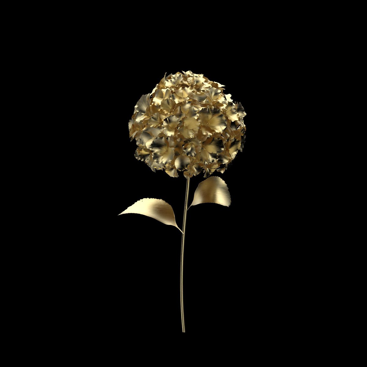 CryptoFlowerz tweet media