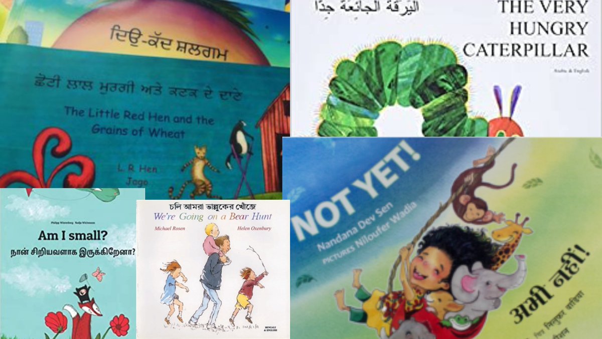 Amanda Thomas tweet media