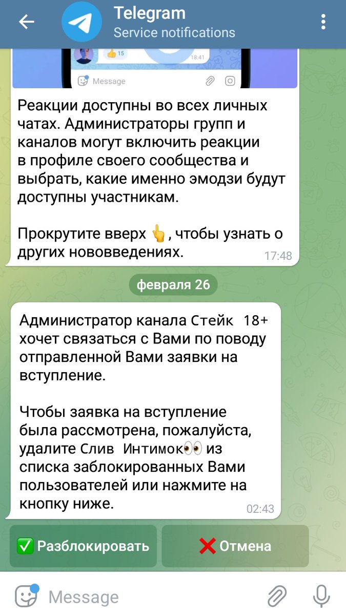 Добавилась в закрытый чат в телеге о текущих событиях, через какое-то время прилетело сообщение от бота со сливами девушек, который я заблокировала. Сейчас пришло это. Блять, во время военных действий этим ублюдством заниматься, это совсем пиздец