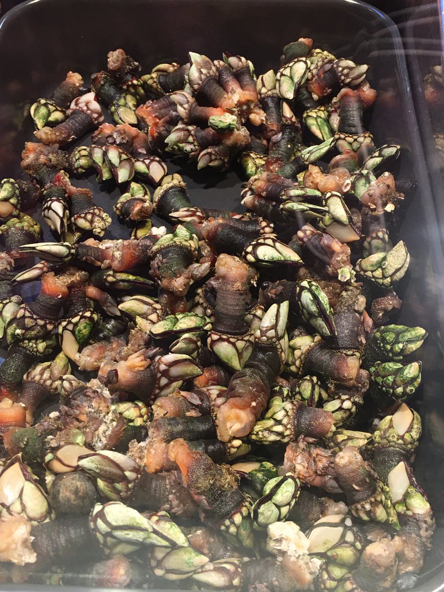 Rica Madrid tweet media