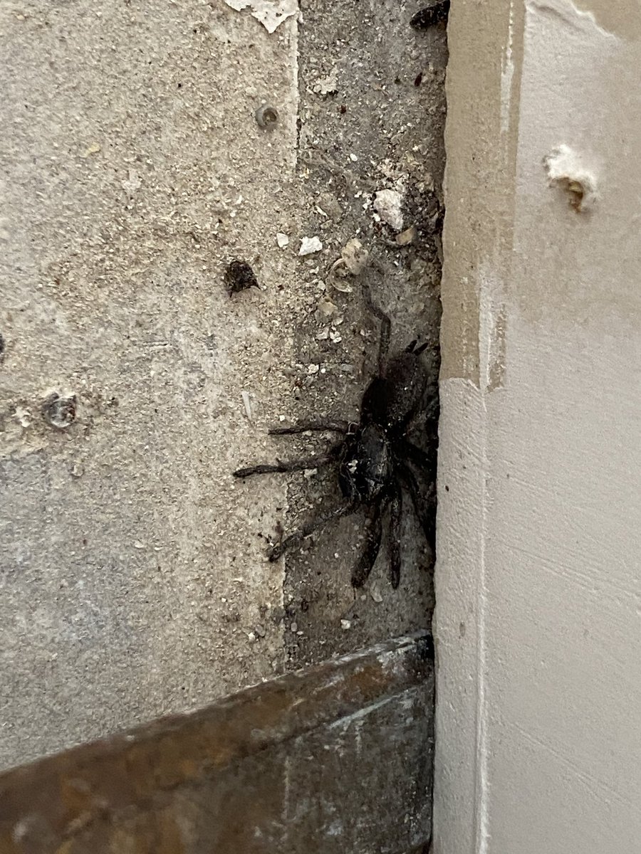 Cameron Beaman tweet media