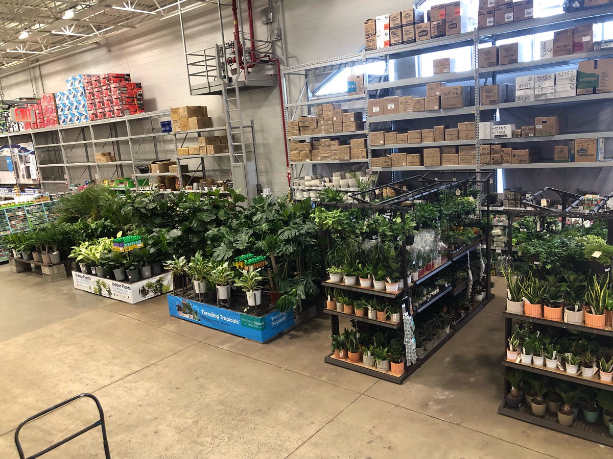 Great partnership in Lowe’s of Brick! Come get some houseplants! @DomFeola @PlantPartners