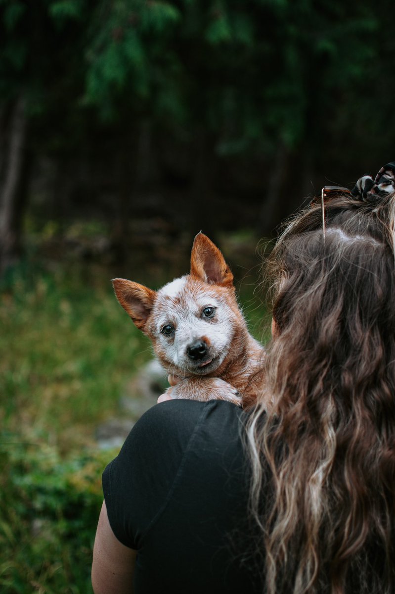 Vic, Hayden & Arlo tweet media