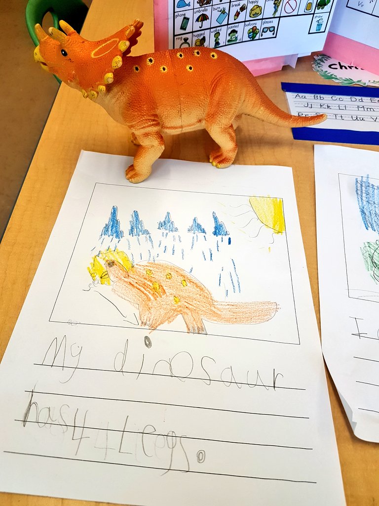 Samira Jamil tweet media