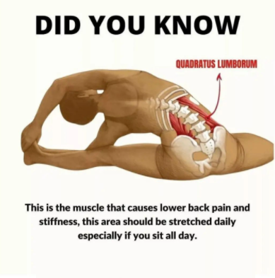 FolksHealthy's tweet photo. health and fitness tips , like &amp; share post, more health plan link in Bio @FolksHealthy

#healthytips #fitnesstips #healthylife #healthyliving https://t.co/O6XsVjKmw8