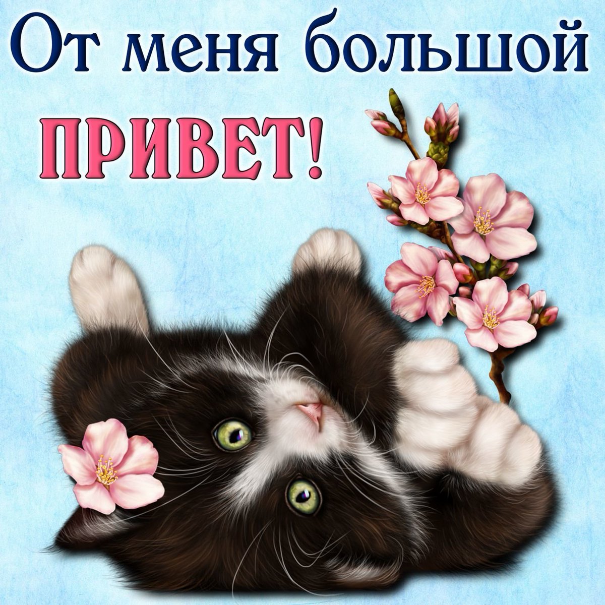 ViktorShelkov's tweet photo. @LubovLuba4 @PakhalovichAlex С Добрым...😍 https://t.co/WIIKDZgwnU