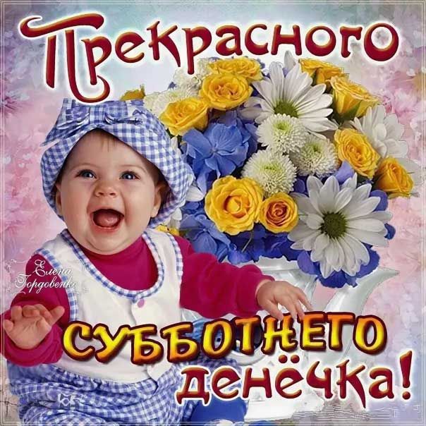 Я Русский Андрон tweet media